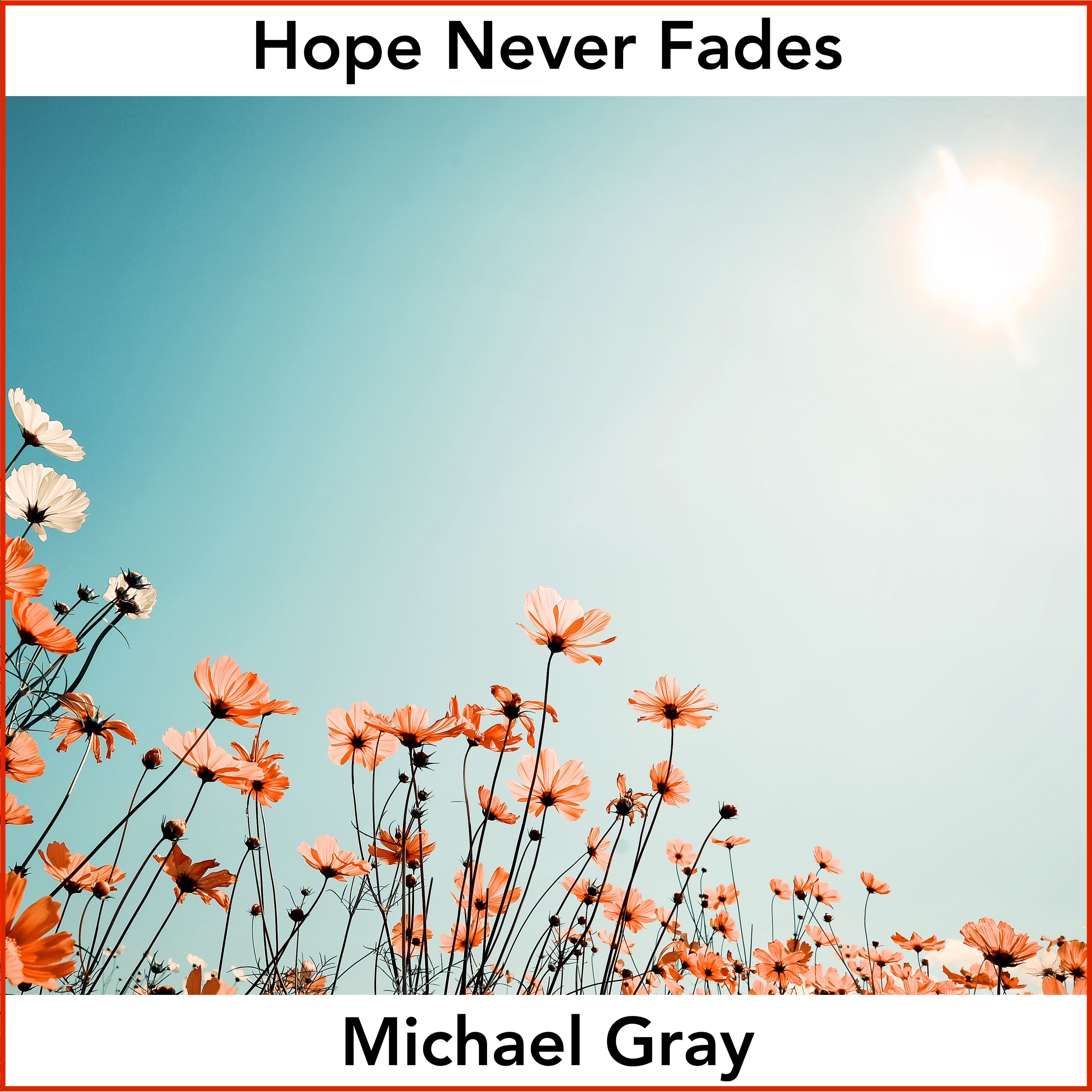 Hope Never Fades cover art