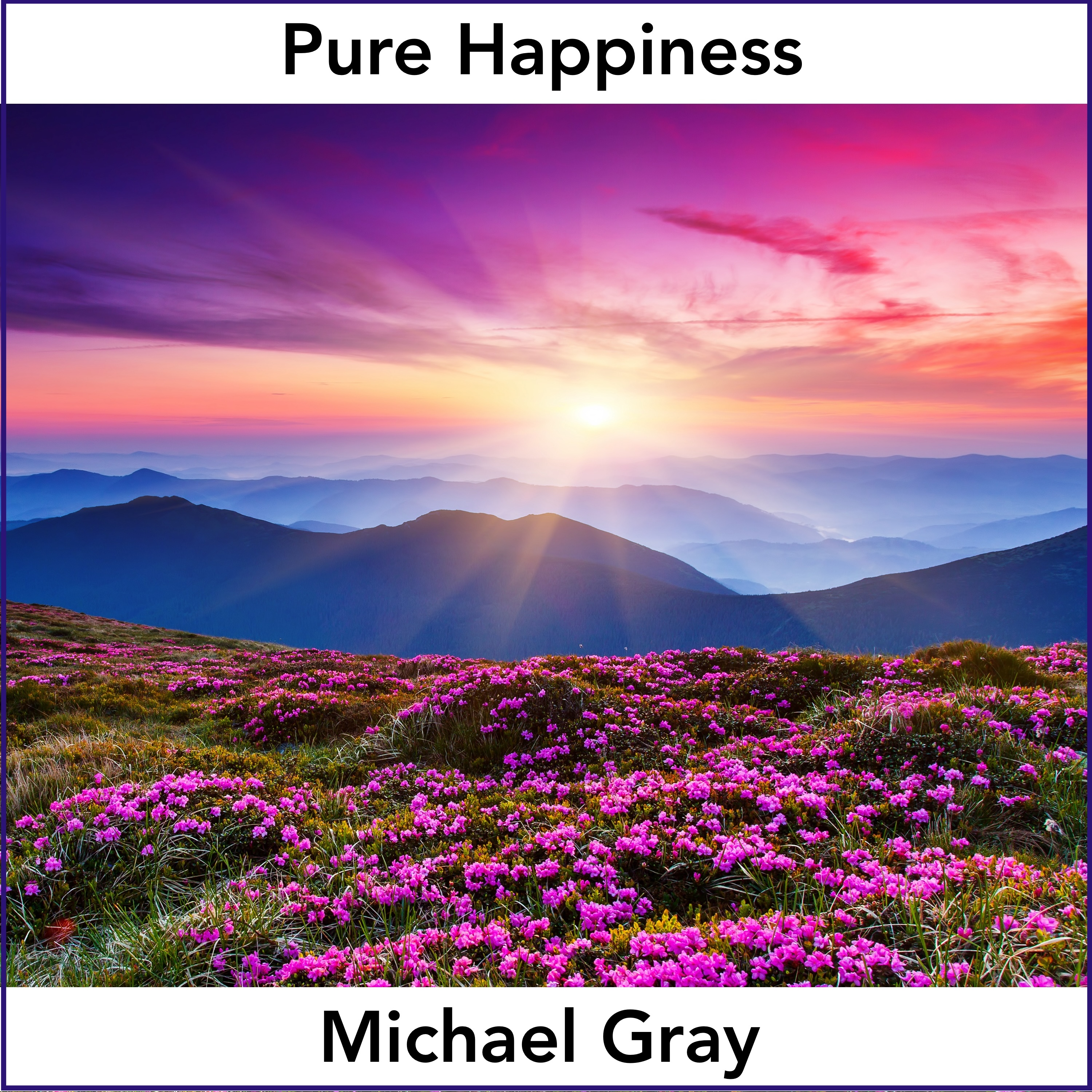 Pure Happiness cover art